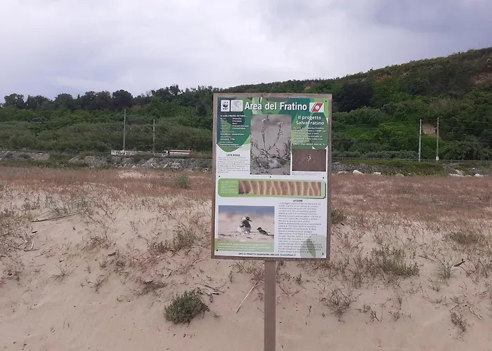 Le Dune * أورتونا